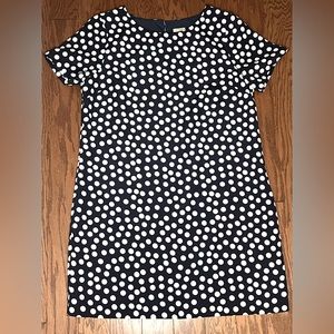 J. Crew Navy and white polkadot shift dress